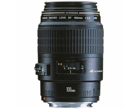 Canon 100mm Macro USM Lens